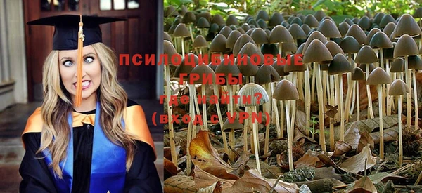 соль курить ск Алзамай