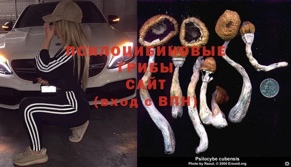 соль курить ск Алзамай
