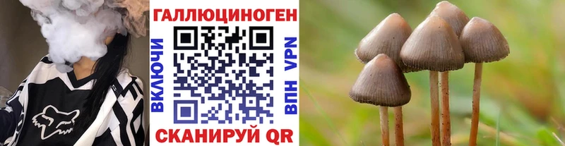 Псилоцибиновые грибы Cubensis  Сясьстрой 